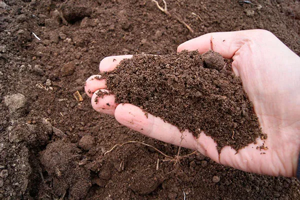 Подготовка земли Подготовка земли