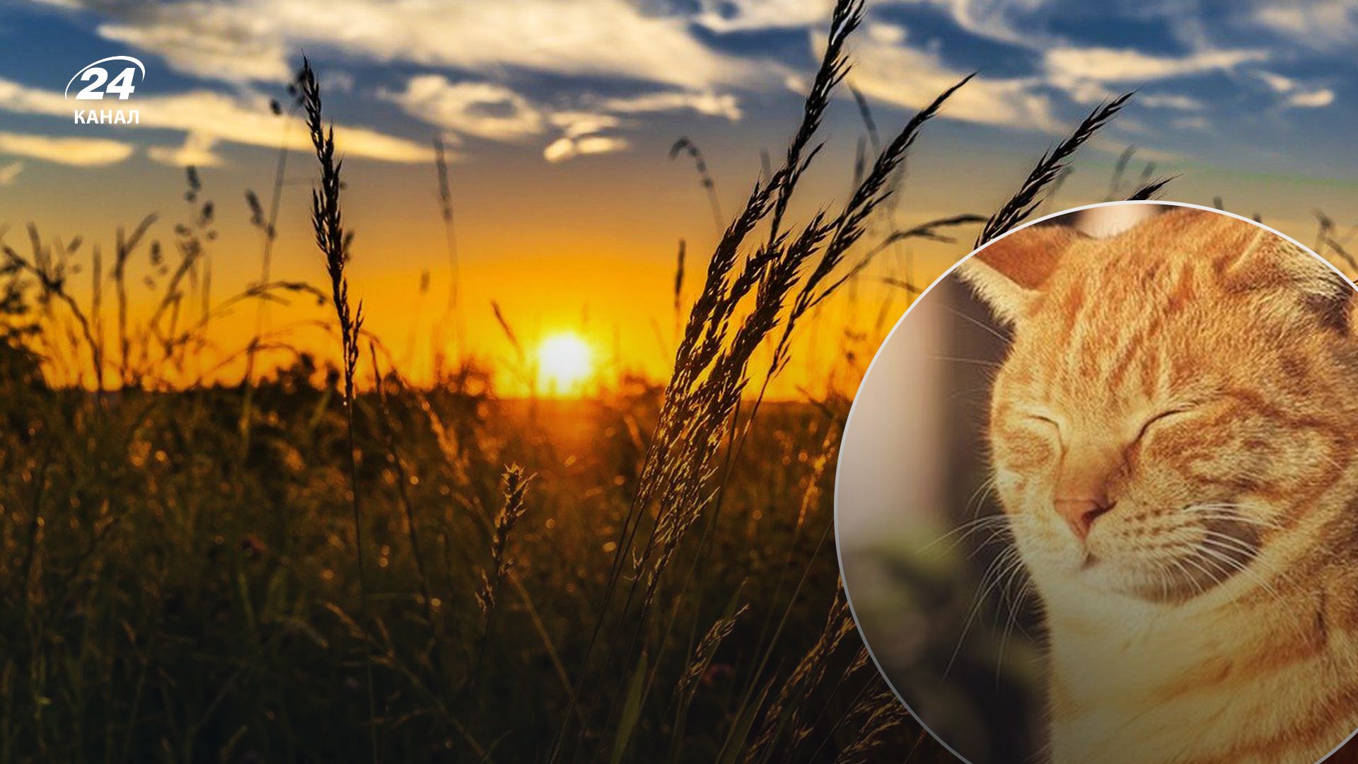 Прогноз погоди в Україні на 2 травня Прогноз погоди в Україні на 2 травня