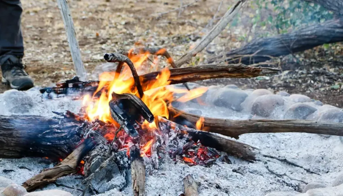 В каких местах Польши нельзя разводить костер В каких местах Польши нельзя разводить костер