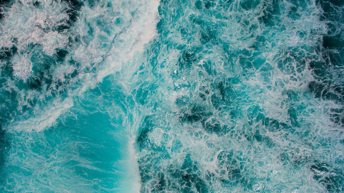 Давно заборонені забрудники знайшли в одному з найглибших місць планети Давно заборонені забрудники знайшли в одному з найглибших місць планети