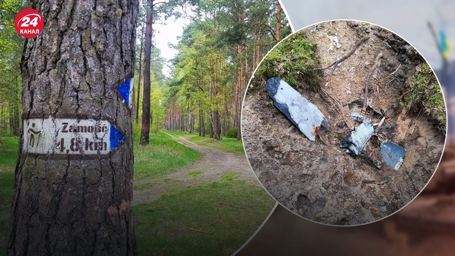 Польские СМИ предположили, что ракета близ Быдгоща могла быть запущена с самолета России Польские СМИ предположили, что ракета близ Быдгоща могла быть запущена с самолета России