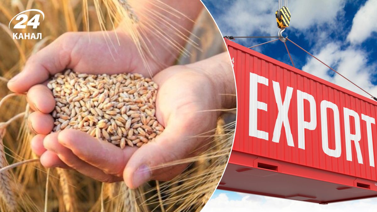 Експорт зерна - як польське ембарго повпливає на економіку України