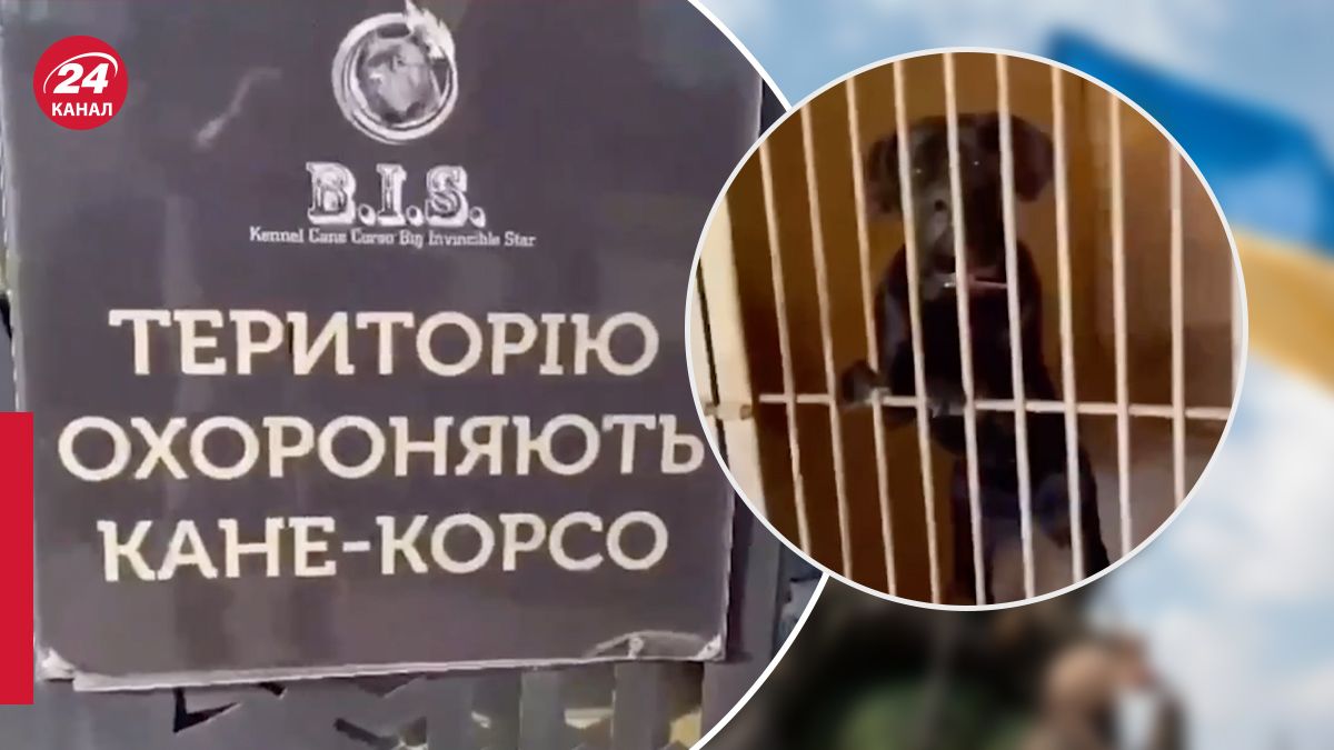 Полиция изъяла 7 собак кане-корсо возле Ирпеня