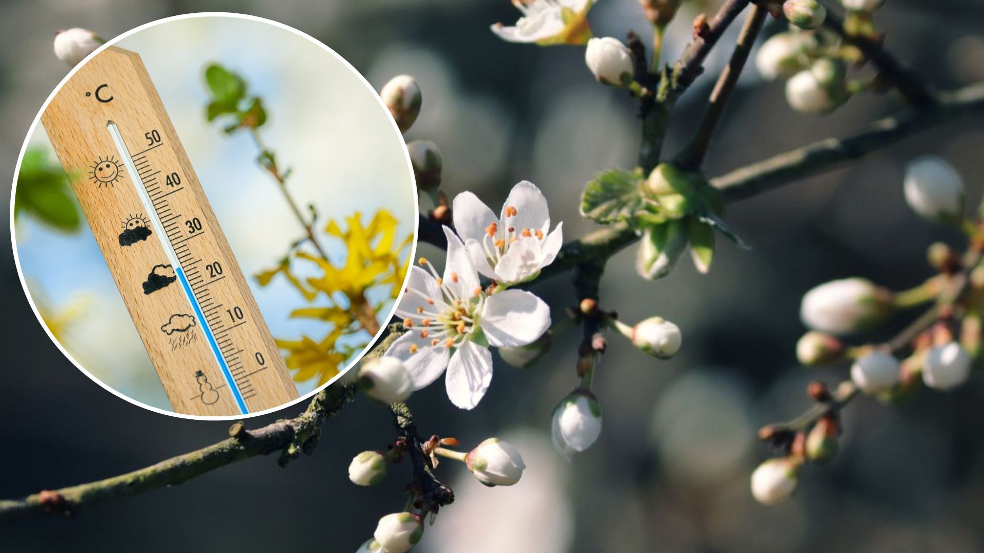 Погода в Украине сегодня - какой будет погода 4 мая 2023 - 24 Канал Погода в Украине сегодня - какой будет погода 4 мая 2023 - 24 Канал