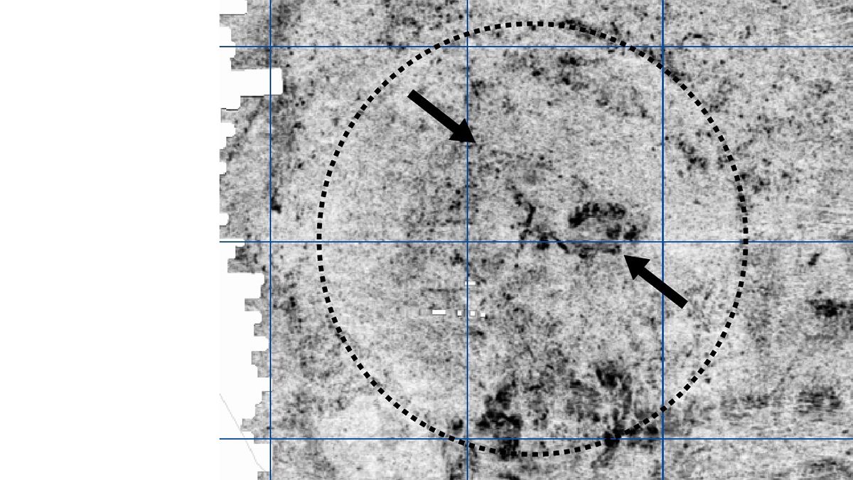 Поховання в кораблі, зроблене вікінгами, знайшли в начебто порожньому кургані Поховання в кораблі, зроблене вікінгами, знайшли в начебто порожньому кургані