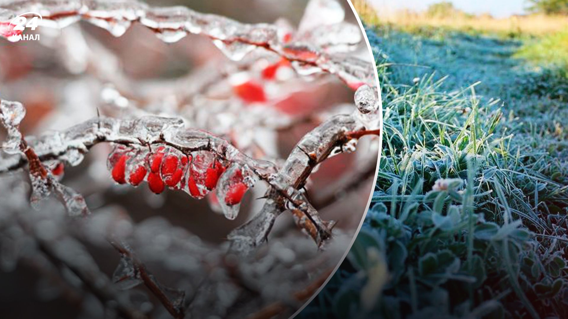 Синоптики попередили про заморозки - 24 Канал Синоптики попередили про заморозки - 24 Канал