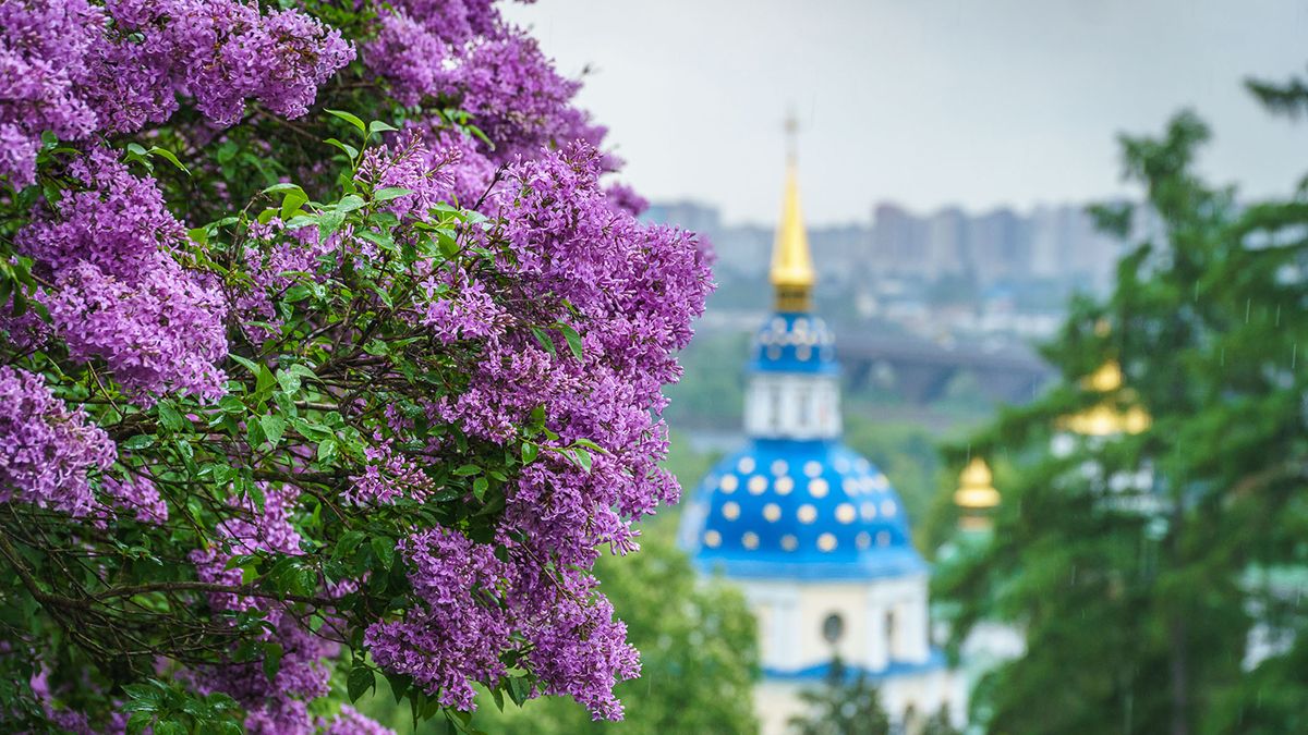 Погода в Украине 5 мая - какой будет погода в Киеве, Львове, Одессе, Днепре - 24 Канал