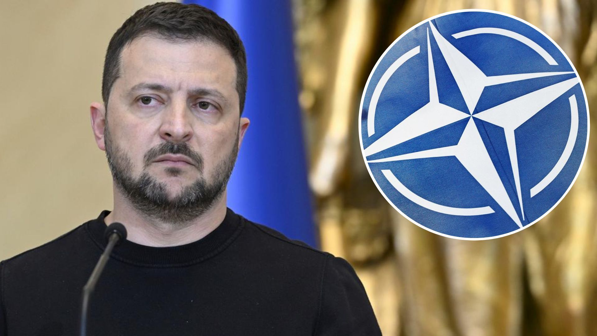 Украина идет в НАТО - Зеленский объяснил, чего наше государство хочет от Альянса - 24 Канал Украина идет в НАТО - Зеленский объяснил, чего наше государство хочет от Альянса - 24 Канал