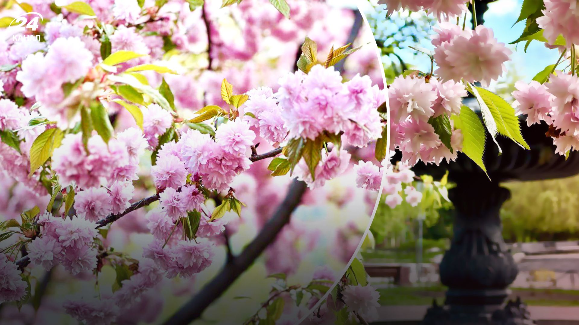 Когда в Украине потеплеет - 24 Канал Когда в Украине потеплеет - 24 Канал