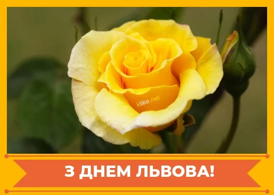 З Днем Львова З Днем Львова