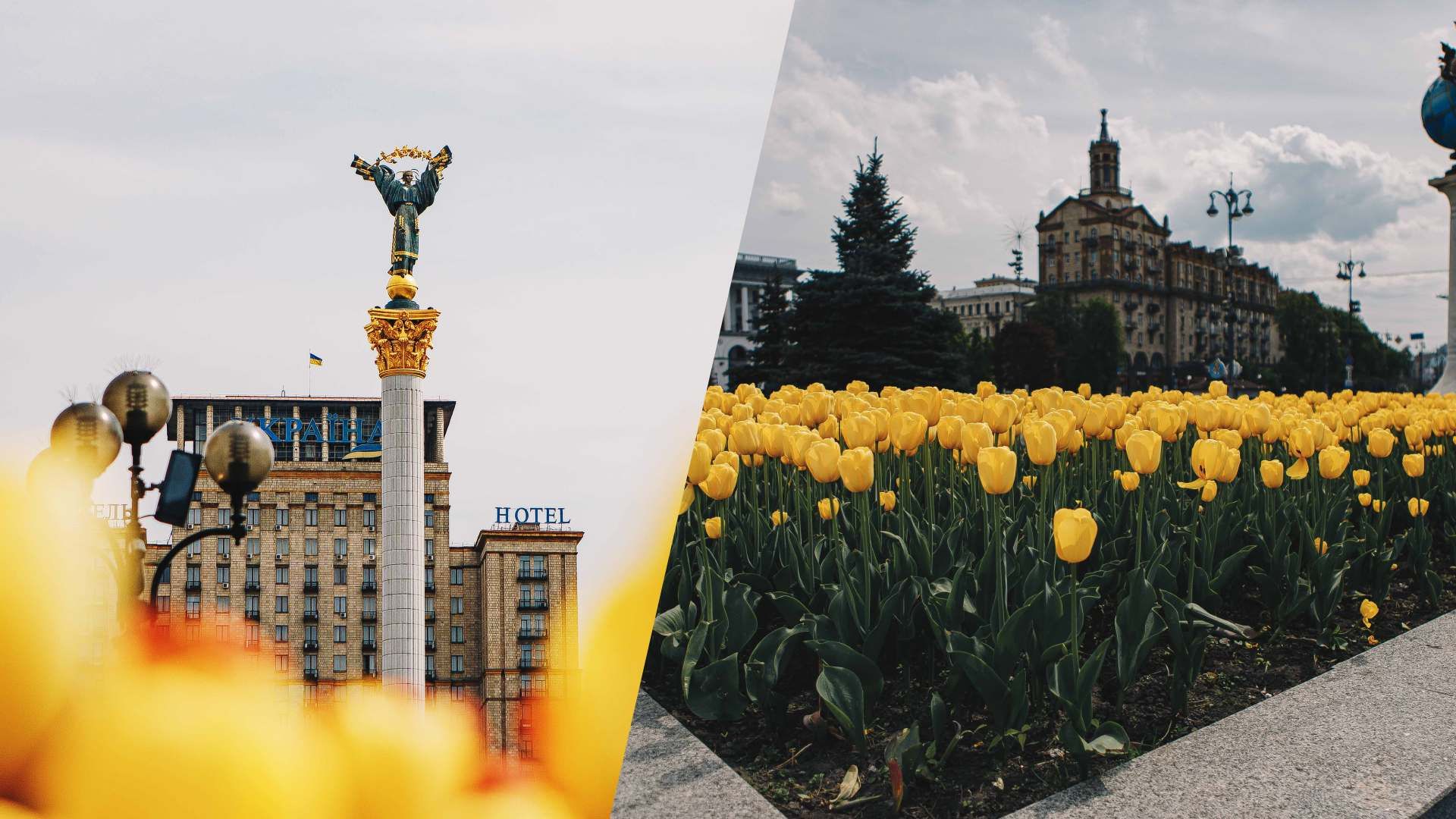 У Києві розцвіли тюльпани У Києві розцвіли тюльпани