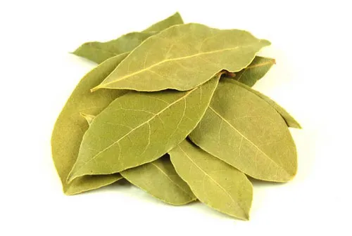 Лавровое письмо Лавровое письмо