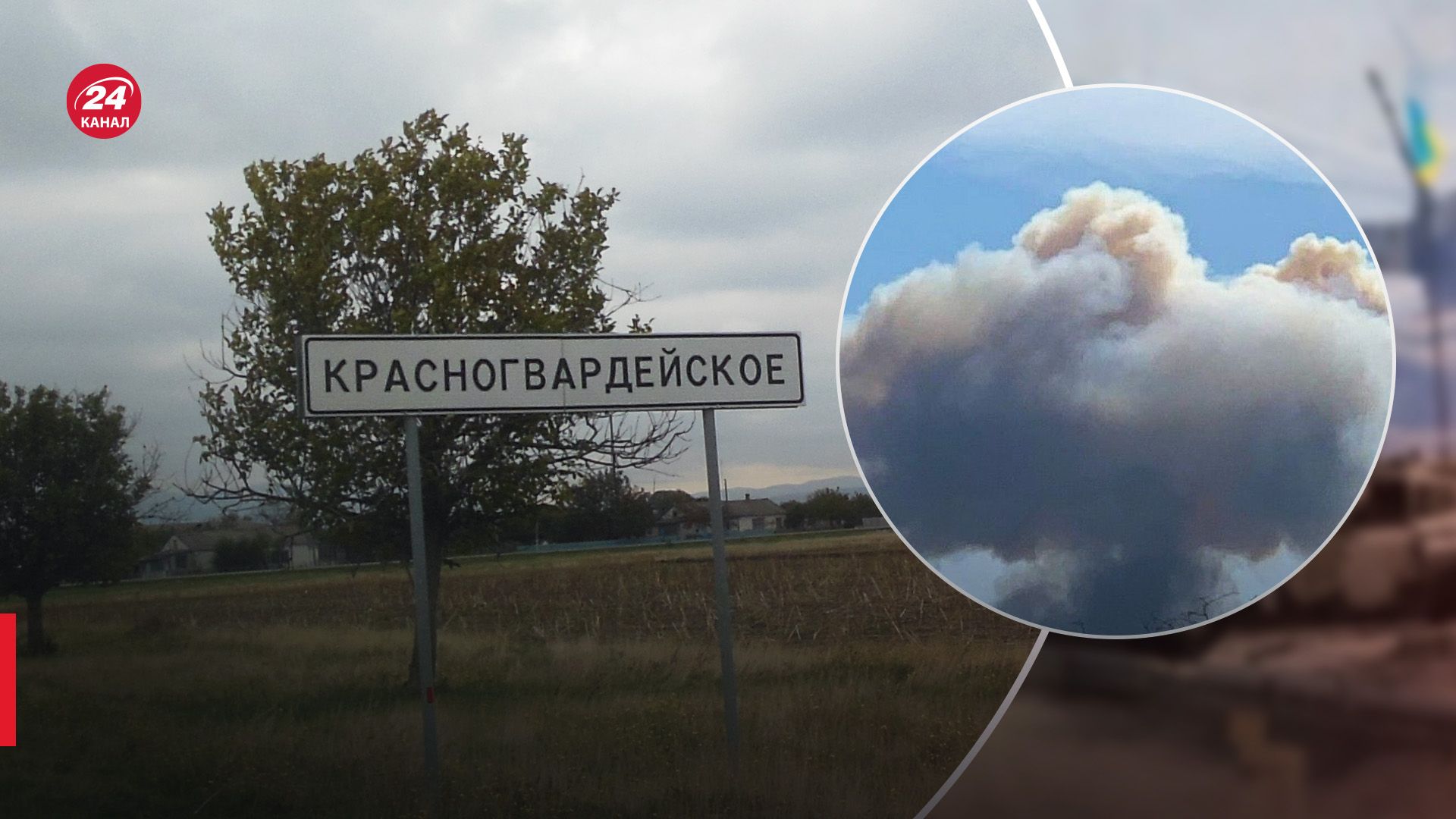 В Криму знову розцвіла бавовна В Криму знову розцвіла бавовна