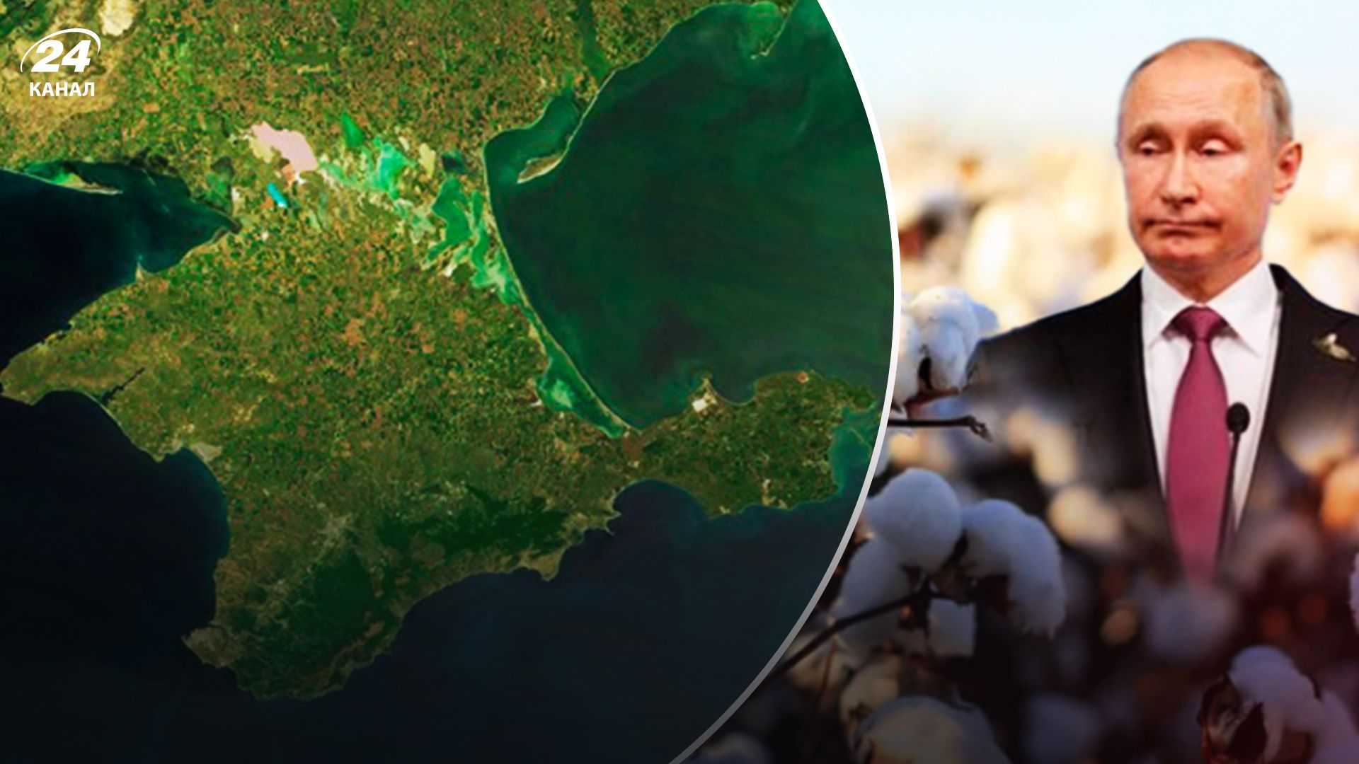 Хлопок в Крыму - 24 Канал Хлопок в Крыму - 24 Канал