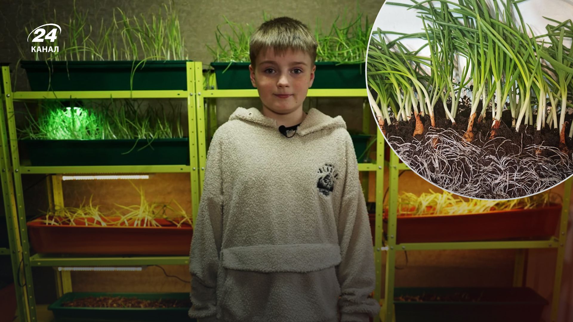 12-летний киевлянин выращивает зелень в квартире