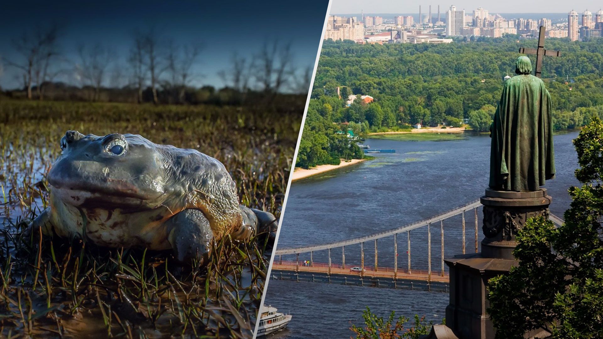 Чому Київ і Москва розвивалися по різному - яка різниця між українцями і росіянами - 24 Канал Чому Київ і Москва розвивалися по різному - яка різниця між українцями і росіянами - 24 Канал