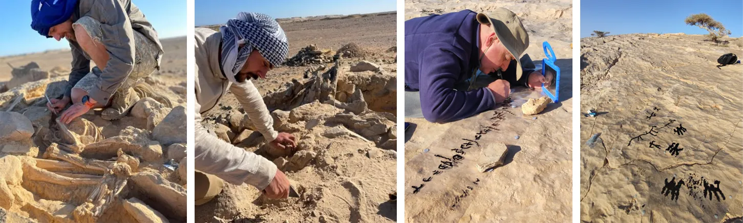 Раскопки Раскопки