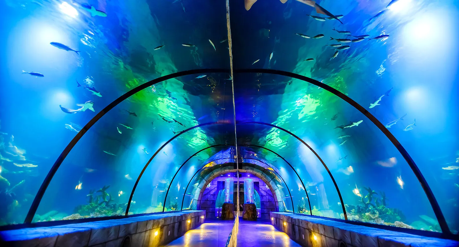 Океанариум Океанариум
