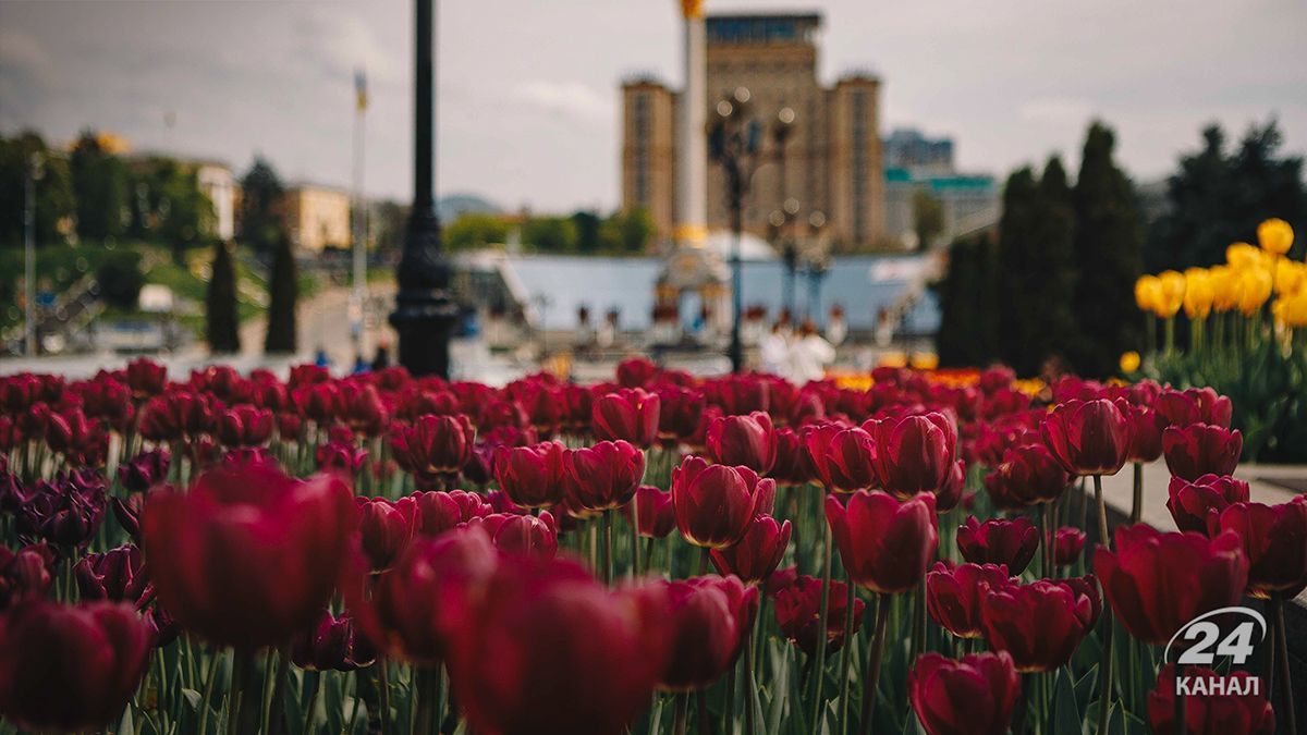 Погода в Украине - 24 Канал Погода в Украине - 24 Канал