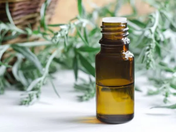 Раствор полыни Раствор полыни