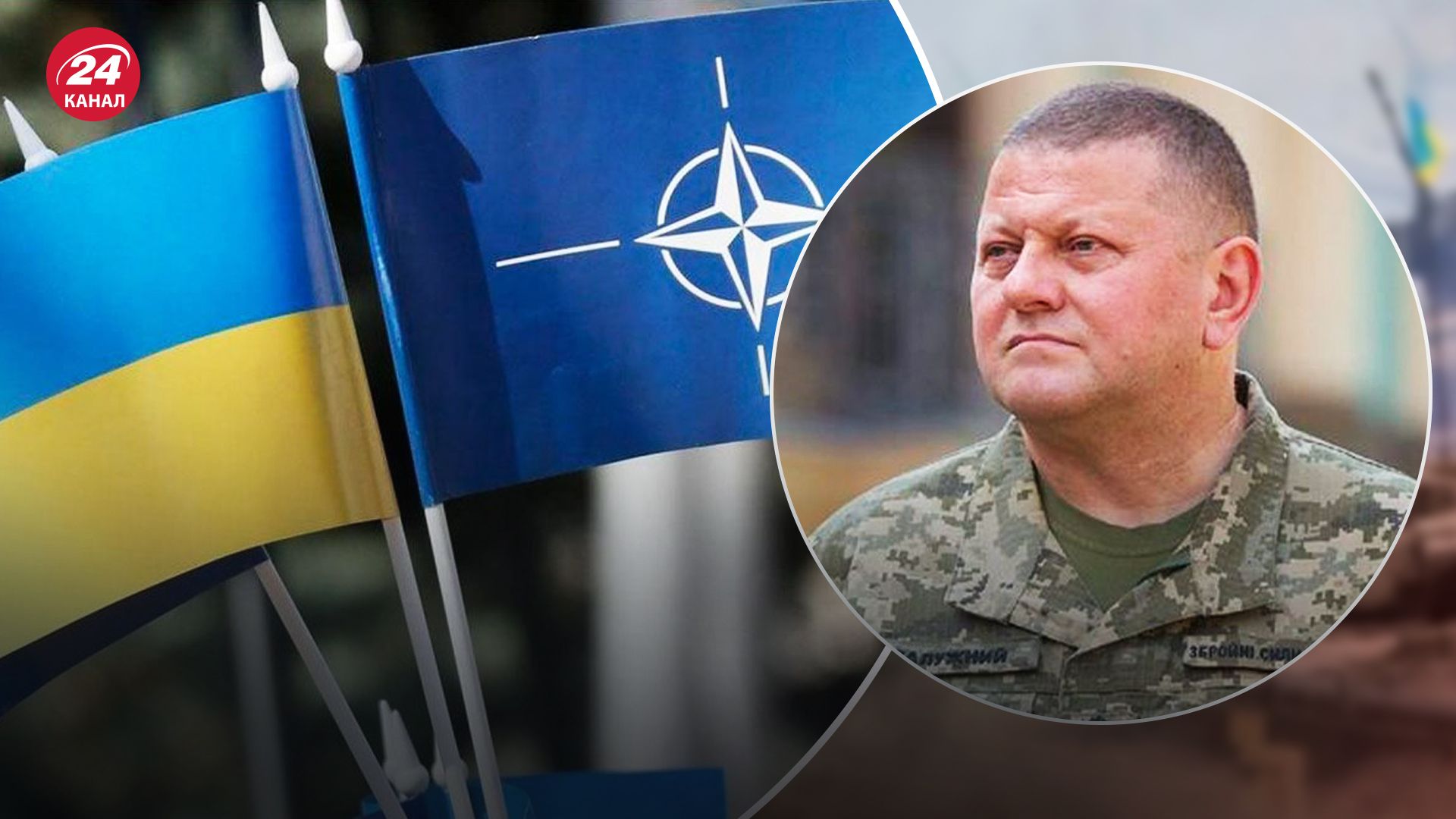 Світан та Федоров про рішення Залужного Світан та Федоров про рішення Залужного