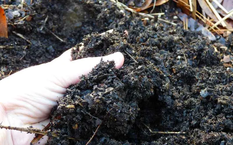 Дренированная земля Дренированная земля