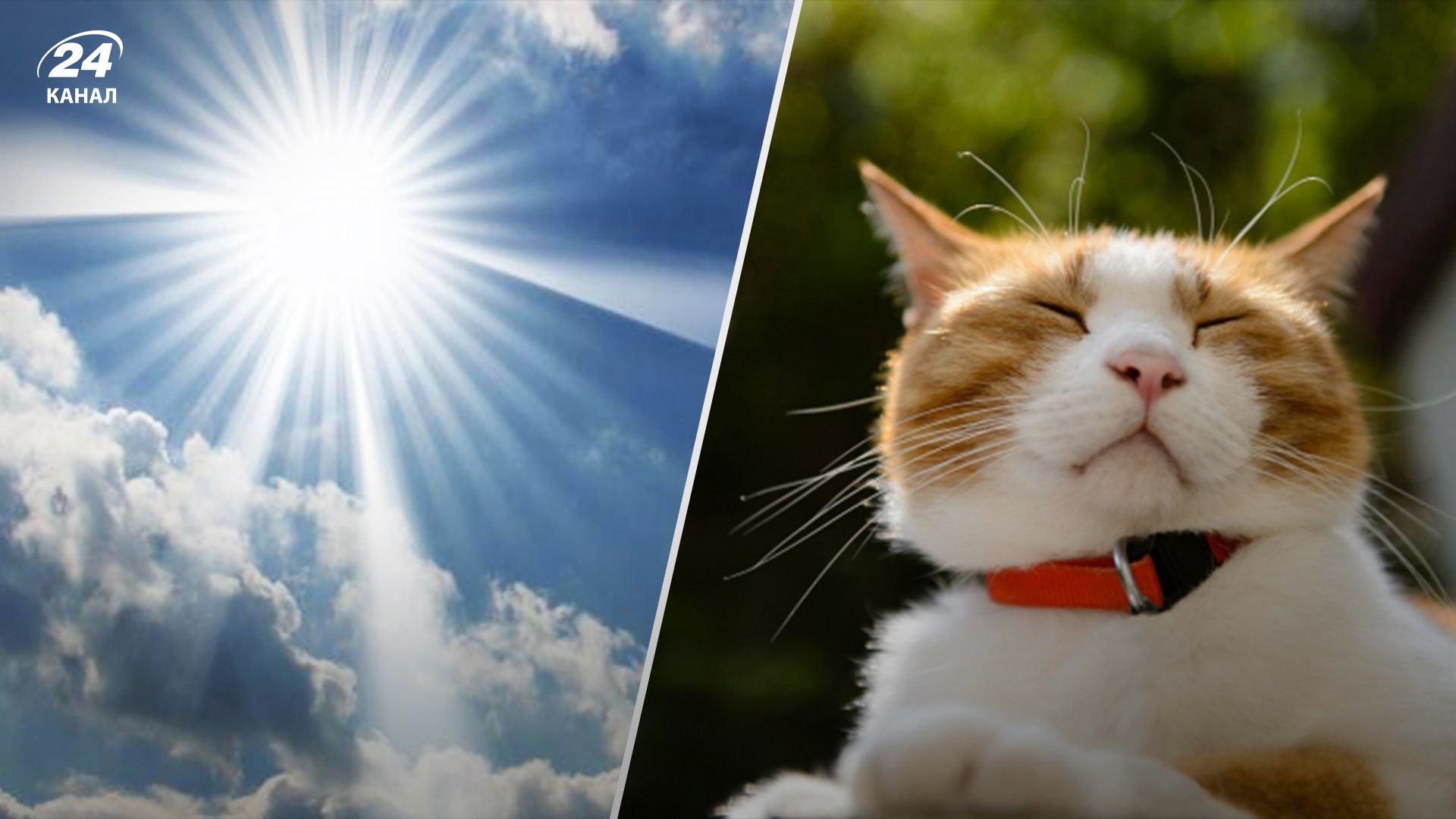 Прогноз погоды на 12 мая. Прогноз погоды на 12 мая.