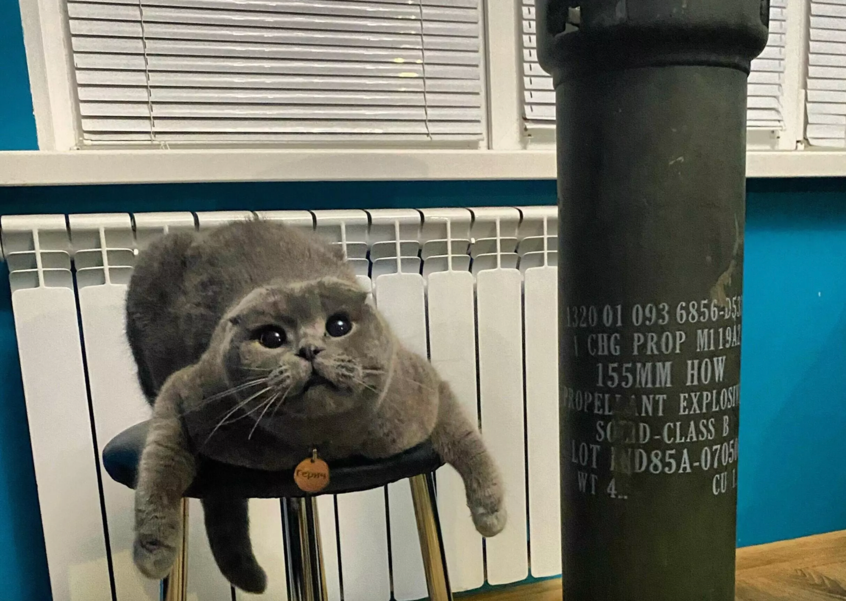Один из призов от Герича за донат