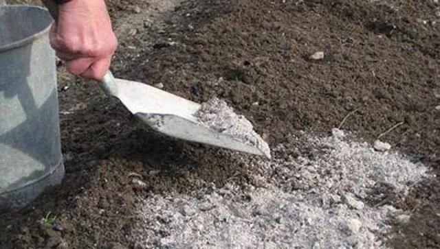 Удобрение пеплом Удобрение пеплом