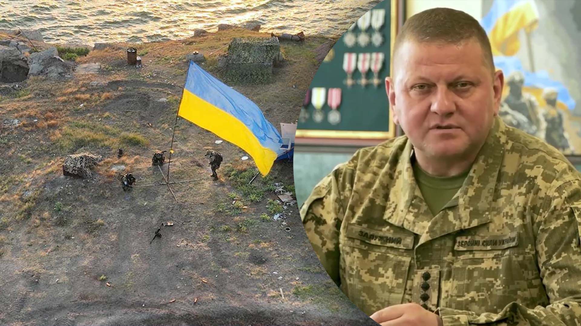 Что рассказал Залужный о Змеином Что рассказал Залужный о Змеином