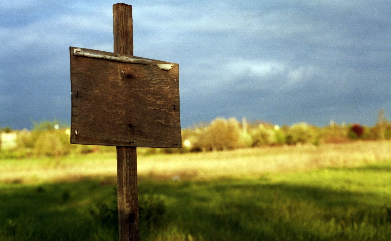 Ринок землі в Україні зростає 