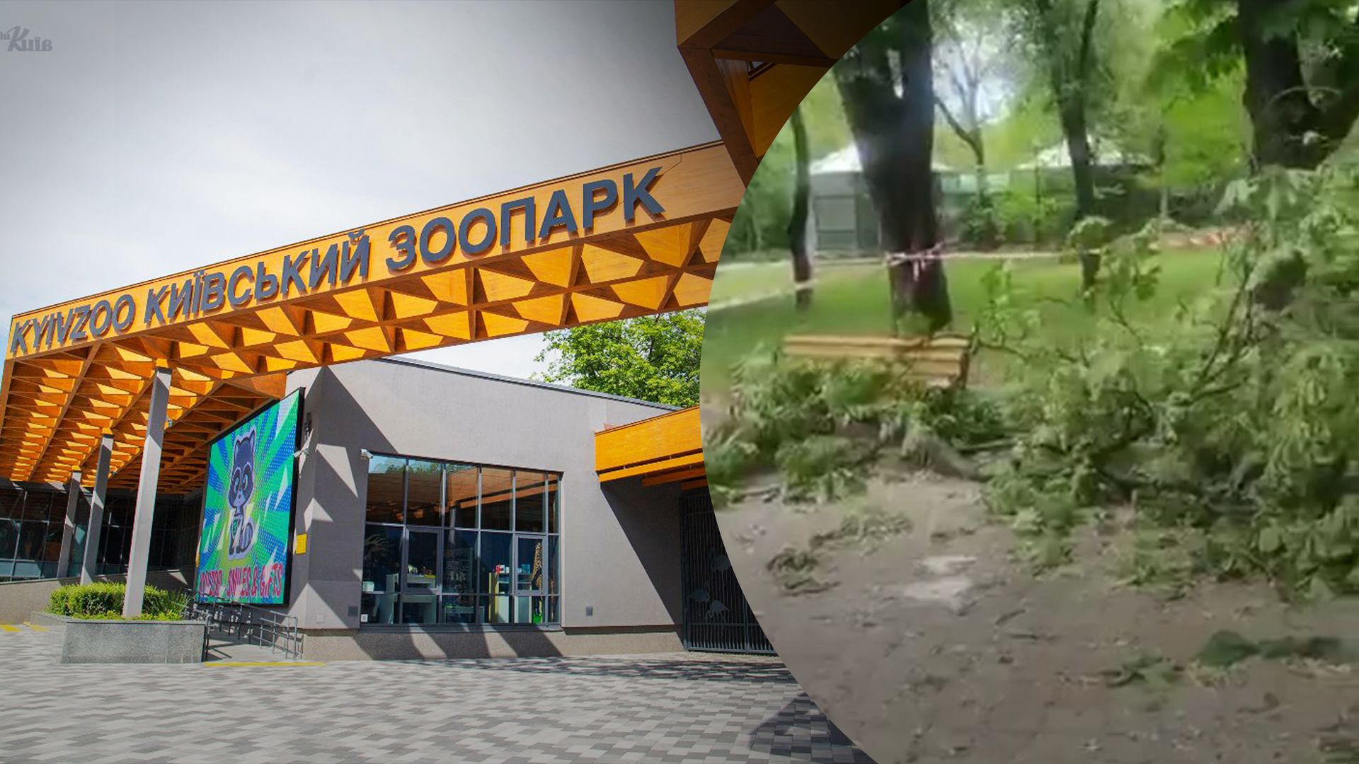 Удар по Києву – уламок ракети впав на зоопарк Удар по Києву – уламок ракети впав на зоопарк