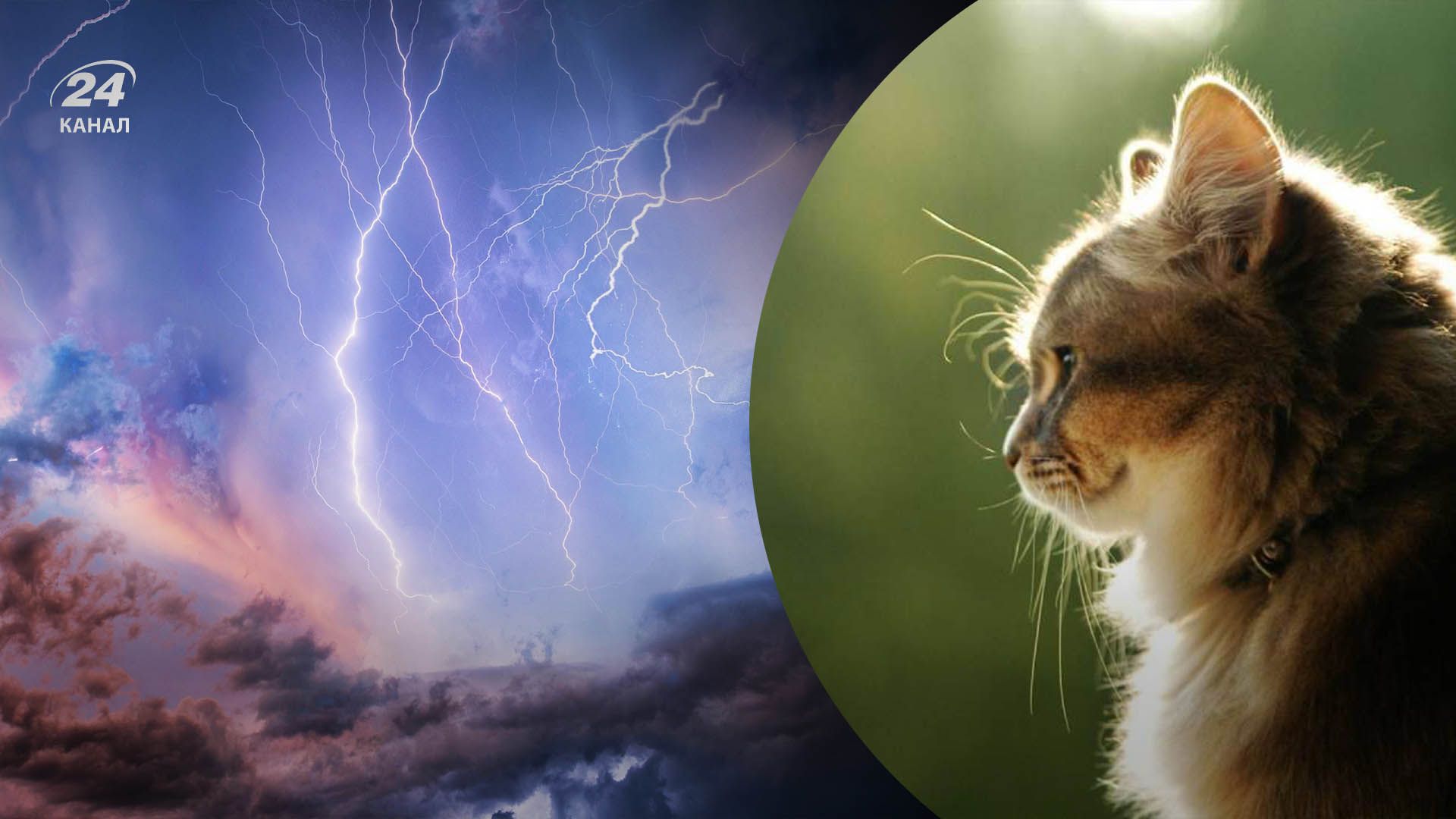 Погода в Україні 17 травня Погода в Україні 17 травня