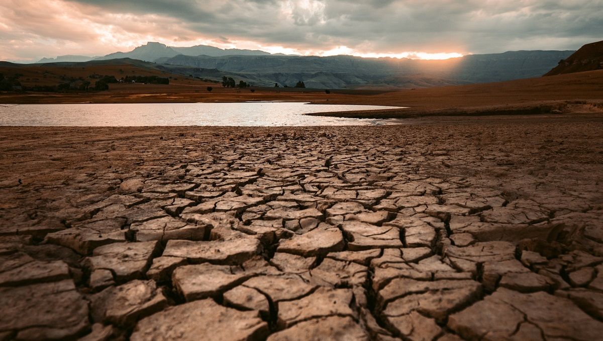 Ілюстративне фото Ілюстративне фото