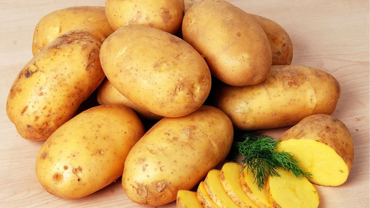 Картофель Картофель