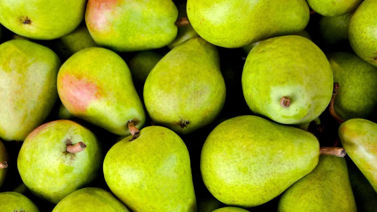 Груши Груши