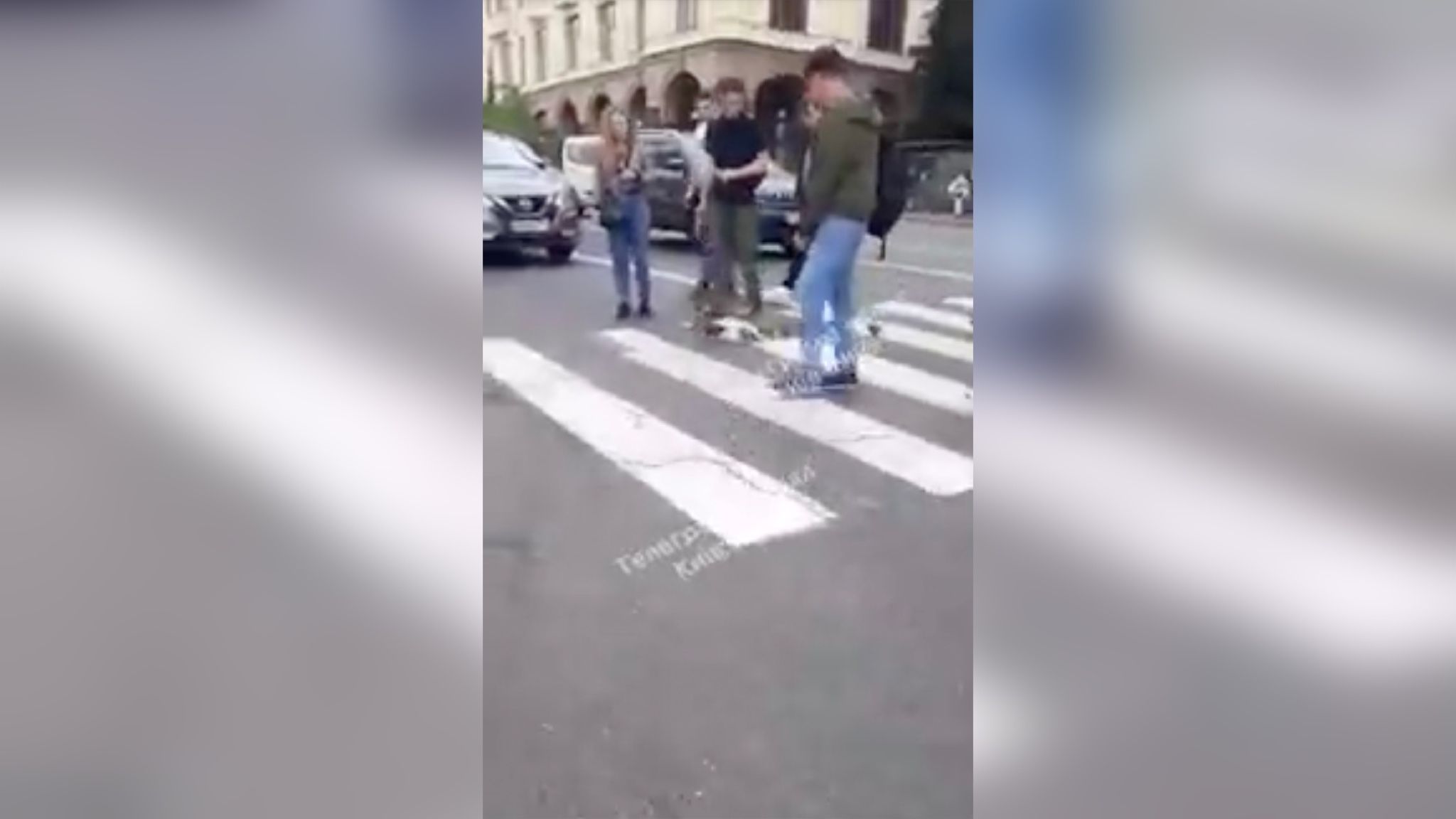 Порятунок качиного виводка в Києві