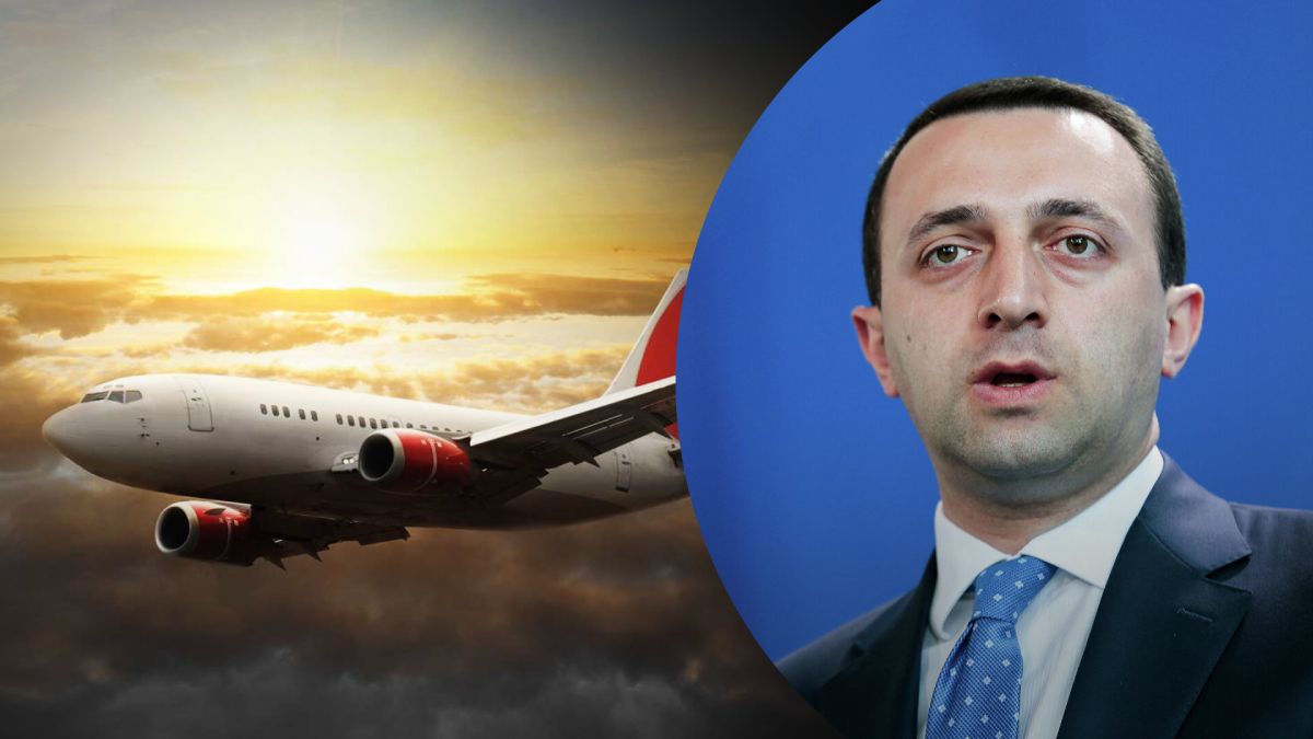 Гарібашвілі виправдався за відновлення авіасполучення з Росією Гарібашвілі виправдався за відновлення авіасполучення з Росією