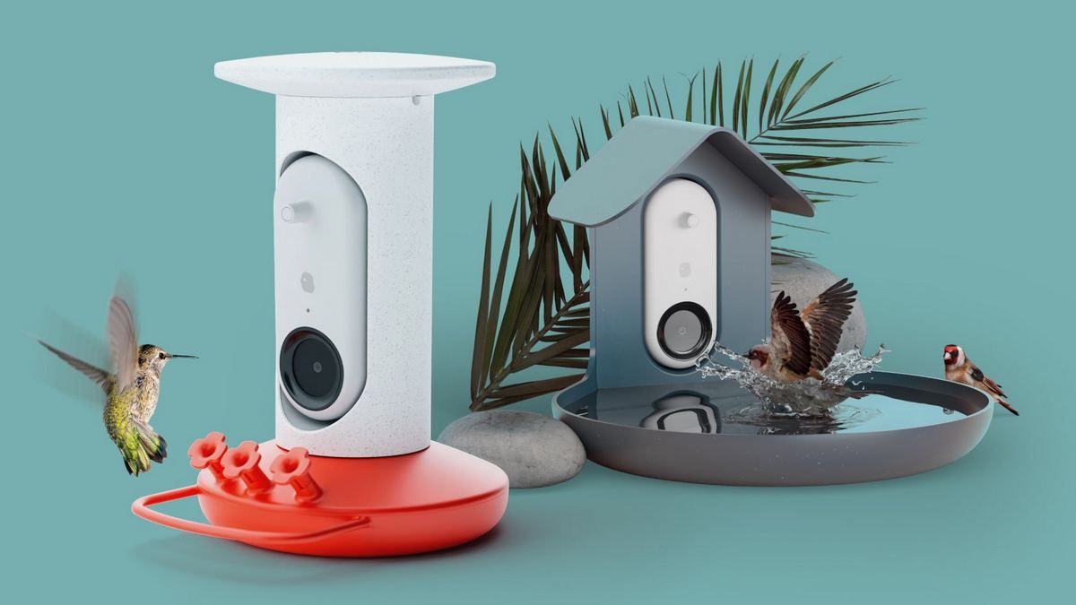 Bird Buddy пропонує розумну годівницю та ванночку для птахів із камерою