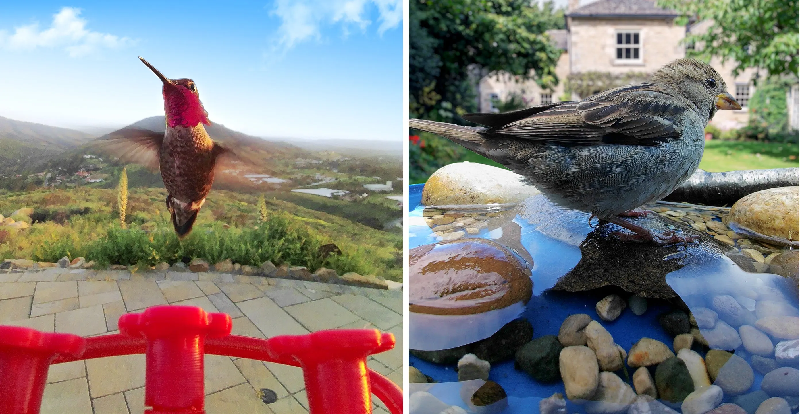 Кормушка и ванночка для птиц Кормушка и ванночка для птиц