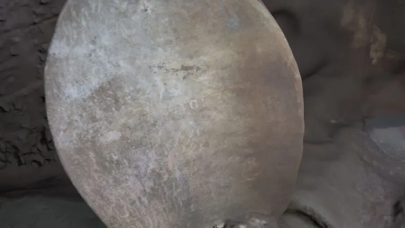 Лопать титаніка Лопать титаніка