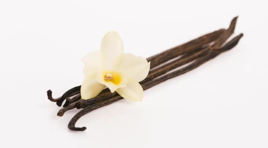 Ваніль Ваніль