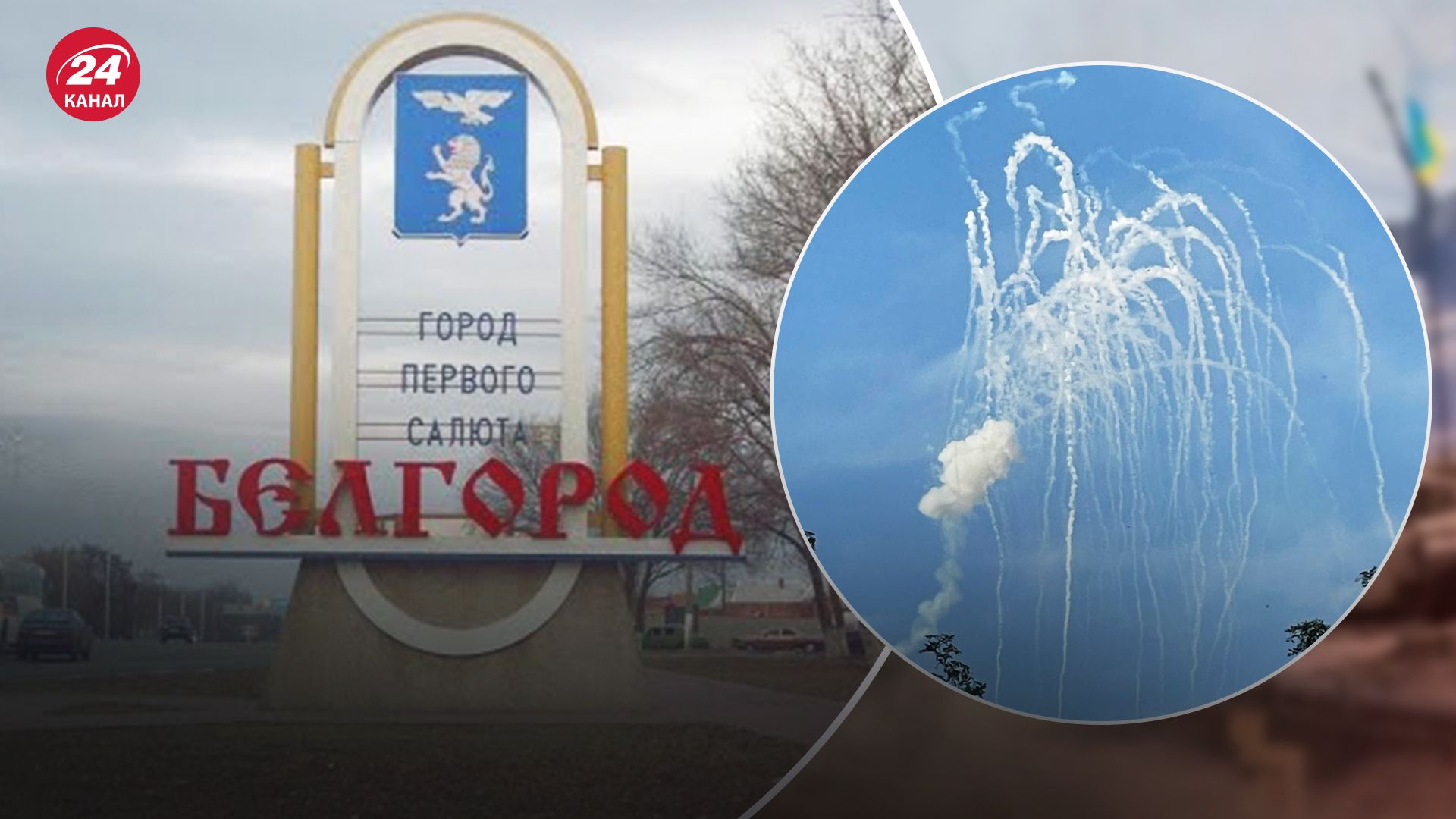 У Бєлгородській області вчергове квітне "бавовна" У Бєлгородській області вчергове квітне "бавовна"