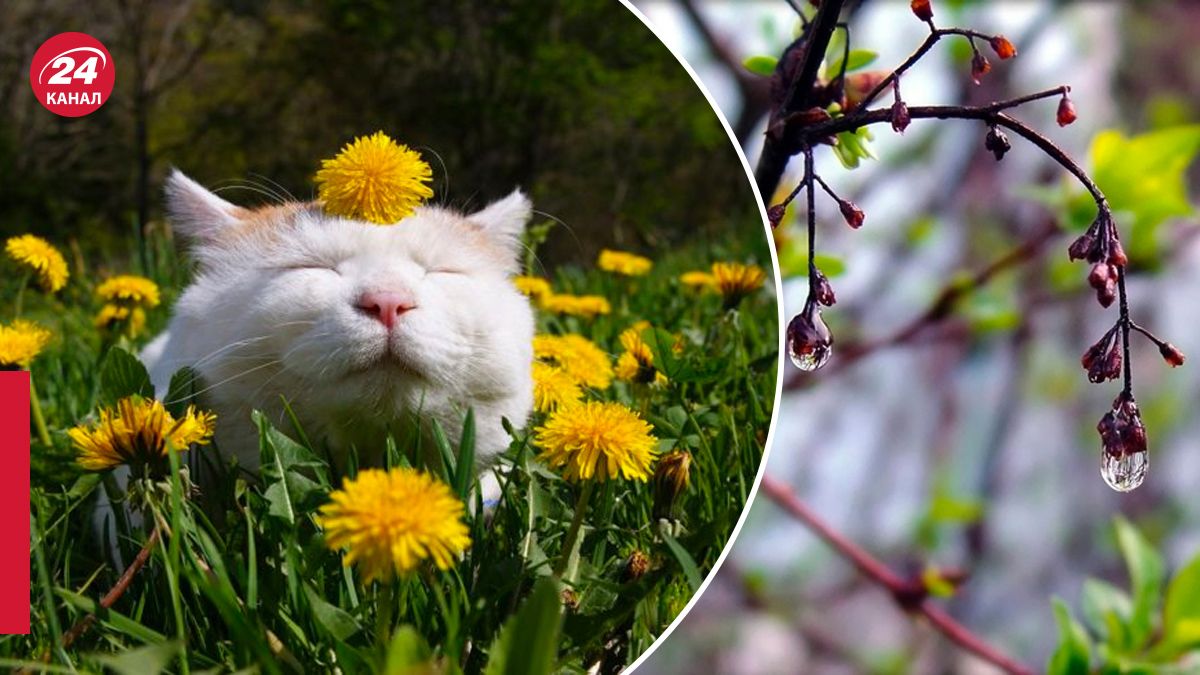 Точний прогноз погоди на 20 травня Точний прогноз погоди на 20 травня