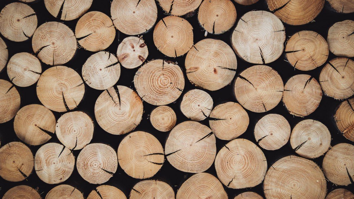 Вчені запустять супутник із дерева вже наступного року Вчені запустять супутник із дерева вже наступного року