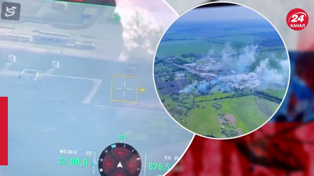 У Бєлгороді цвіте бавовна У Бєлгороді цвіте бавовна