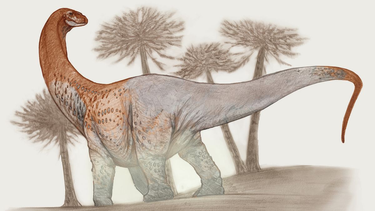 В Аргентині знайшли кістки величезного титанозавра