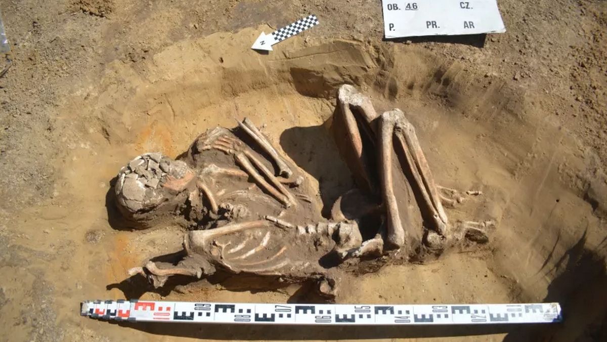 В польском городе обнаружили могилу с 7000-летним скелетом