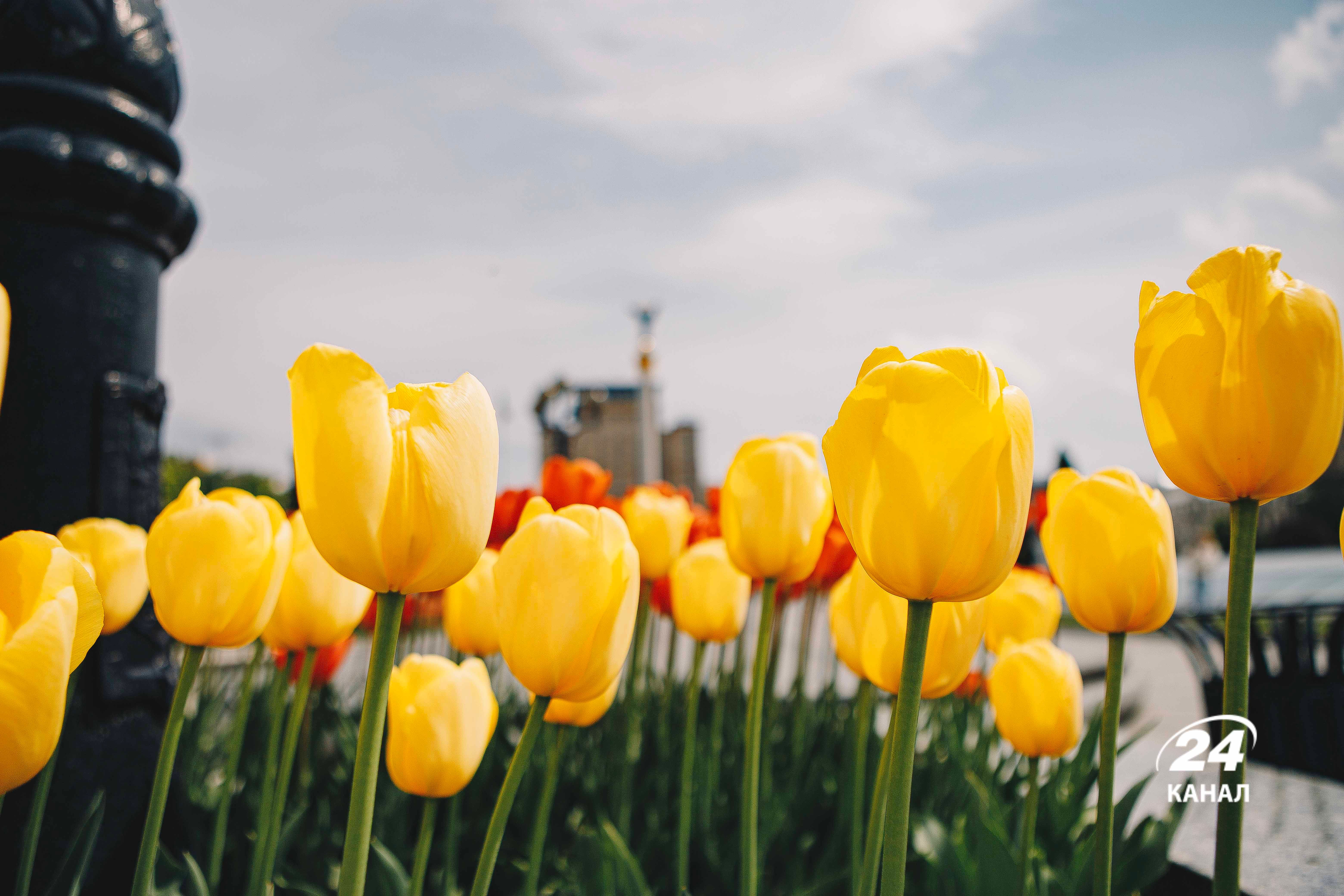 Прогноз погоды - 24 Канал Прогноз погоды - 24 Канал