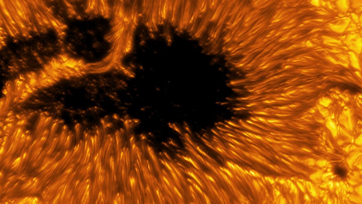 Сонячна пляма Сонячна пляма